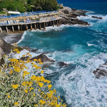 Altamarea Genua